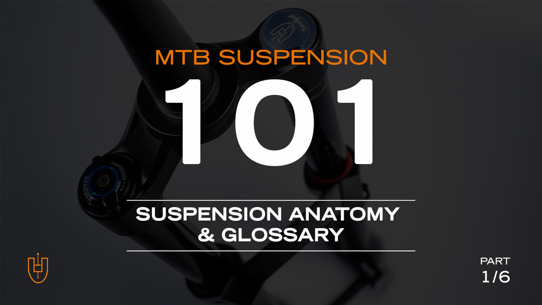 MOUNTAIN BIKE SUSPENSION 101: Suspension Anatomy & Glossary (Part 1 of 6)